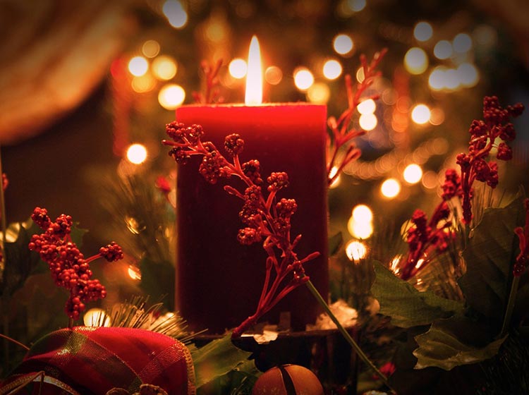 English Chamber Orchestra - Christmas with Vivaldi English Chamber Orchestra - Christmas with Vivaldi