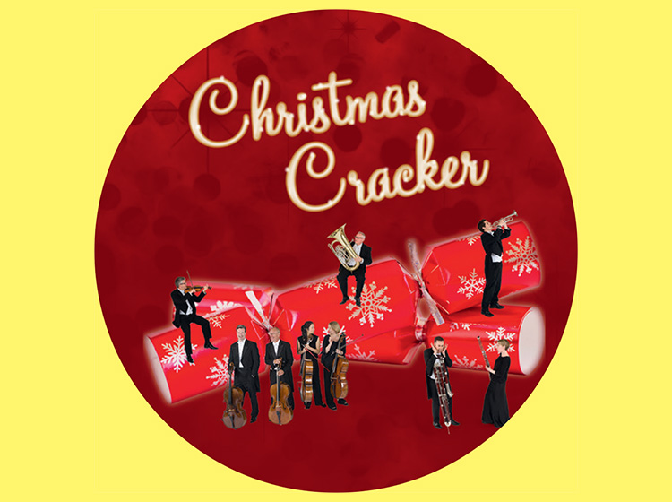 Christmas Cracker Christmas Cracker