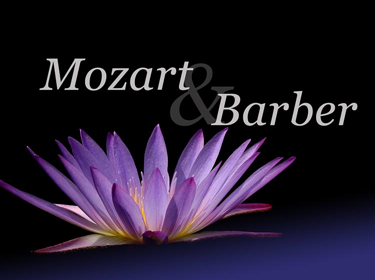 English Chamber Orchestra - Mozart & Barber English Chamber Orchestra - Mozart & Barber