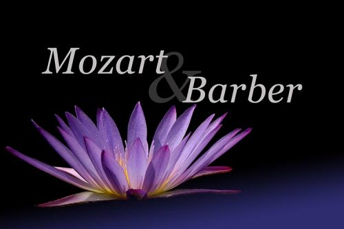 English Chamber Orchestra - Mozart & Barber English Chamber Orchestra - Mozart & Barber