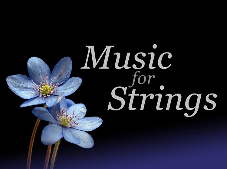 English Chamber Orchestra - Music for Strings English Chamber Orchestra - Music for Strings
