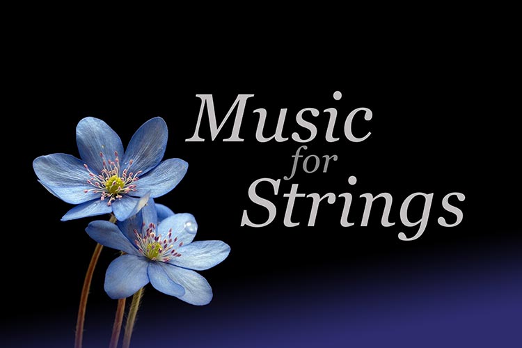 English Chamber Orchestra - Music for Strings English Chamber Orchestra - Music for Strings