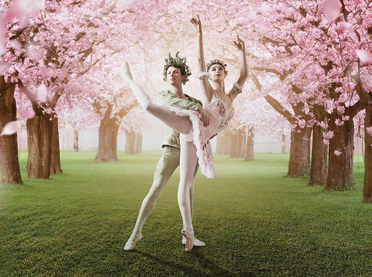 The Flower Ballet